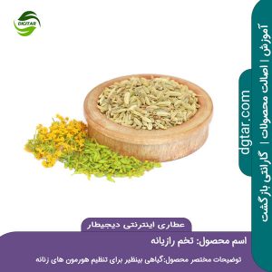 تخم رازیانه در عطاری اینترنتی دیجیطار