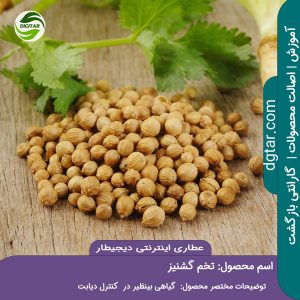 تخم گشنیز به همراه گیاه گشنیز در عطاری اینترنتی دیجیطار