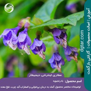 آموزش کامل خواص بادرنجبویه + خرید اینترنتی از عطاری اینترنتی دیجیطار (www.dgtar.com)