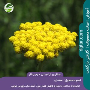 آموزش کامل خواص بومادران + خرید اینترنتی از عطاری اینترنتی دیجیطار (www.dgtar.com)