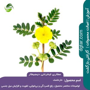 آموزش کامل خواص خارخاسک + خرید اینترنتی از عطاری اینترنتی دیجیطار (www.dgtar.com)