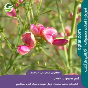 آموزش کامل خواص خارشتر + خرید اینترنتی از عطاری اینترنتی دیجیطار (www.dgtar.com)