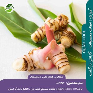 آموزش کامل خواص خولنجان، قولنجان یا خسرودارو + خرید اینترنتی از عطاری اینترنتی دیجیطار (www.dgtar.com)