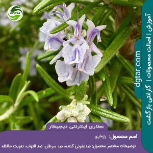 آموزش کامل خواص رزماری + خرید اینترنتی از عطاری اینترنتی دیجیطار (www.dgtar.com)