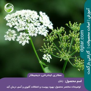 آموزش کامل خواص زنیان + خرید اینترنتی از عطاری اینترنتی دیجیطار (www.dgtar.com)