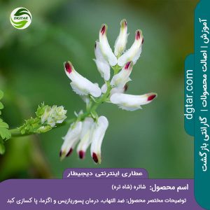 آموزش کامل خواص شاتره شاه تره + خرید اینترنتی از عطاری اینترنتی دیجیطار (www.dgtar.com)