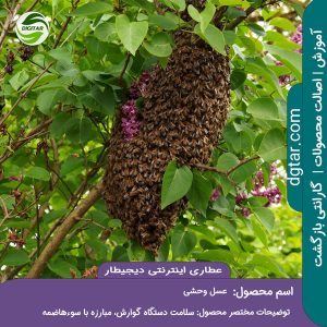 آموزش کامل خواص عسل وحشی + خرید اینترنتی از عطاری اینترنتی دیجیطار (www.dgtar.com)