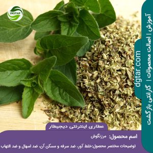 آموزش کامل خواص مرزنگوش (پونه کوهی) + خرید اینترنتی از عطاری اینترنتی دیجیطار (www.dgtar.com)