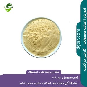 آموزش کامل خواص پودر انبه + خرید اینترنتی از عطاری اینترنتی دیجیطار (www.dgtar.com)