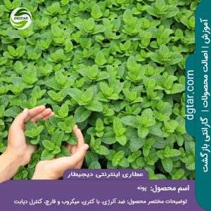 آموزش کامل خواص پونه + خرید اینترنتی از عطاری اینترنتی دیجیطار (www.dgtar.com)