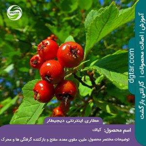 آموزش کامل خواص کیالک + خرید اینترنتی از عطاری اینترنتی دیجیطار (www.dgtar.com)