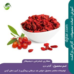 آموزش کامل خواص گوجی بری + خرید اینترنتی از عطاری اینترنتی دیجیطار (www.dgtar.com)