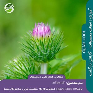 آموزش کامل خواص ریشه گیاه بابا آدم + خرید اینترنتی از عطاری اینترنتی دیجیطار (www.dgtar.com)