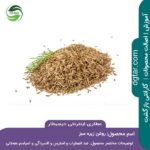 خرید اینترنتی روغن زیره سبز در عطاری اینترنتی دیجیطار ( زیره سبز به صورت فله ای در تصویر)