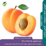 خرید اینترنتی روغن هسته زردآلو درجه 1 از عطاری اینترنتی دیجیطار