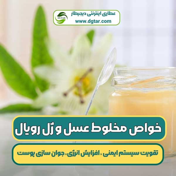 خواص مخلوط عسل و ژل رویال تقویت سیستم ایمنی، افزایش انرژی، جوان سازی پوست عطاری اینترنتی دیجیطار بخش مقالات www.dgtar.com